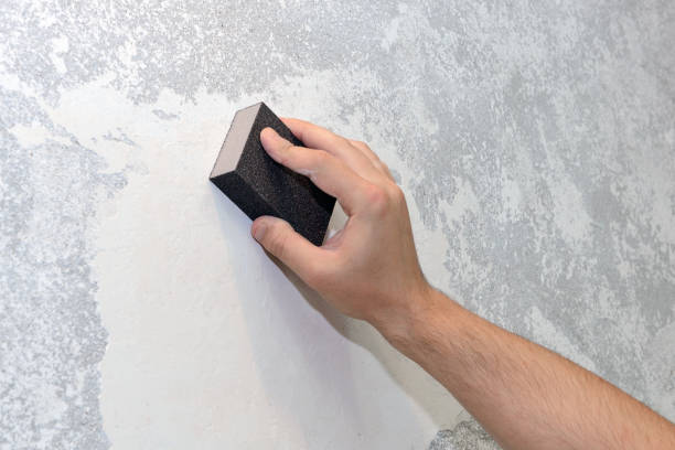 Best Air Quality Testing for Mold Spores  in Brooklyn Park, MD