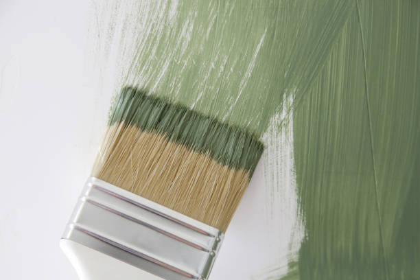 Best Mold Prevention Services  in Brooklyn Park, MD