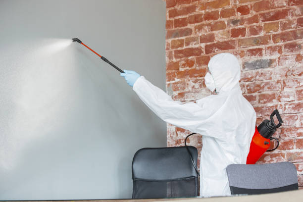 Best Forensic Mold Investigation  in Brooklyn Park, MD