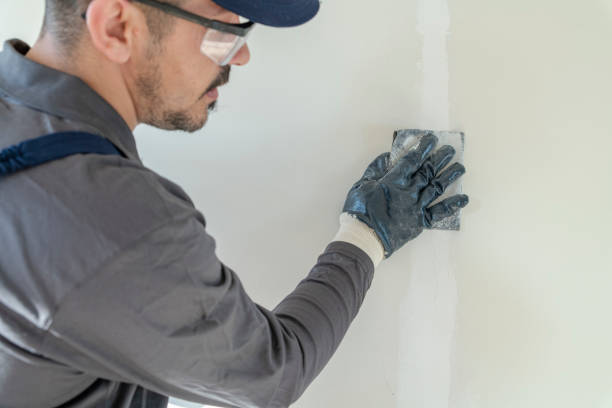 Mold Remediation for Vacation Homes in Brooklyn Park, MD