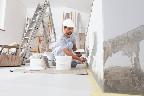 Best Comprehensive Air Testing for Mold Contaminants  in Brooklyn Park, MD