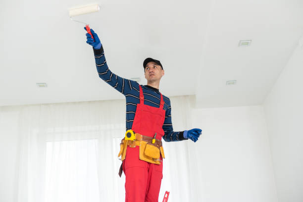Best Mold Remediation for Vacation Homes  in Brooklyn Park, MD