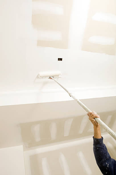 Best Residential Mold Inspection & Testing  in Brooklyn Park, MD