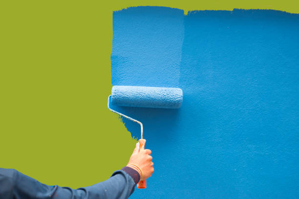 Best Biohazard Mold Removal  in Brooklyn Park, MD