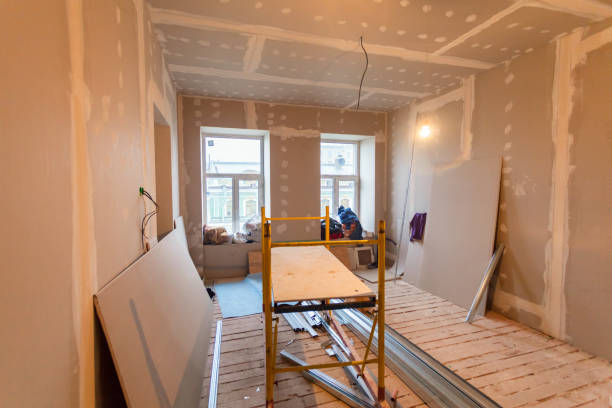 Best Mold Odor Removal Services  in Brooklyn Park, MD