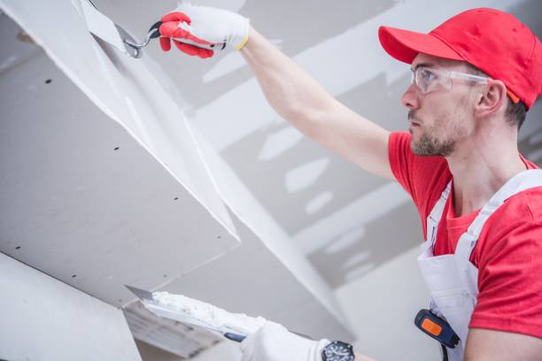 Environmental Consulting for Mold Prevention in Brooklyn Park, MD
